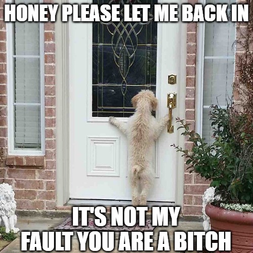 I didn't invent the word | HONEY PLEASE LET ME BACK IN; IT'S NOT MY
FAULT YOU ARE A BITCH | image tagged in dogs,memes,fun,funny,bitches,2020 | made w/ Imgflip meme maker