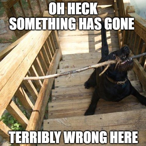 Unplanned error | OH HECK SOMETHING HAS GONE; TERRIBLY WRONG HERE | image tagged in dogs,memes,fun,funny,funny memes,2020 | made w/ Imgflip meme maker