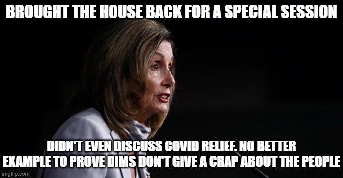 Can't even put this one in the pandering column. | BROUGHT THE HOUSE BACK FOR A SPECIAL SESSION; DIDN'T EVEN DISCUSS COVID RELIEF. NO BETTER EXAMPLE TO PROVE DIMS DON'T GIVE A CRAP ABOUT THE PEOPLE | image tagged in nancy pelosi wtf,democrat power grab,democrats dont care,maga,mage america great again | made w/ Imgflip meme maker