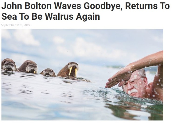 Back to sea | image tagged in repost,memes,fun,funny,walrus | made w/ Imgflip meme maker