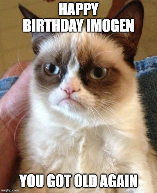 Grumpy Cat Meme | HAPPY BIRTHDAY IMOGEN; YOU GOT OLD AGAIN | image tagged in memes,grumpy cat,happy birthday,grumpy cat birthday,grumpy cat not amused | made w/ Imgflip meme maker