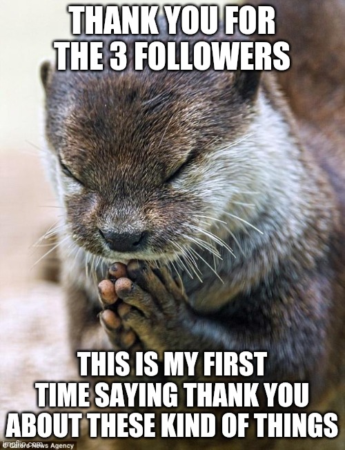 tysm. | THANK YOU FOR THE 3 FOLLOWERS; THIS IS MY FIRST TIME SAYING THANK YOU ABOUT THESE KIND OF THINGS | image tagged in thank you lord otter | made w/ Imgflip meme maker