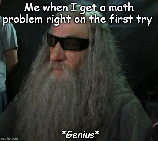 Gandalf in sunglasses | Me when I get a math problem right on the first try; *Genius* | image tagged in funny | made w/ Imgflip meme maker