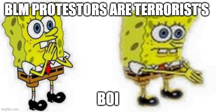 Spongebob *Inhale* Boi | BLM PROTESTORS ARE TERRORIST'S; BOI | image tagged in spongebob inhale boi | made w/ Imgflip meme maker