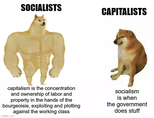 Socialists are smarter | SOCIALISTS; CAPITALISTS; capitalism is the concentration
and ownership of labor and
property in the hands of the
bourgeoisie, exploiting and plotting
against the working class; socialism is when the government does stuff | image tagged in buff doge vs cheems,socialism,communism,capitalism,free market,libertarian | made w/ Imgflip meme maker