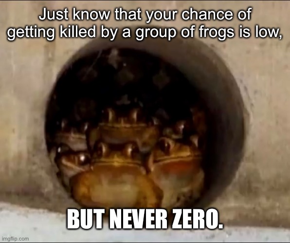 Beware the FROGS | Just know that your chance of getting killed by a group of frogs is low, BUT NEVER ZERO. | image tagged in frogs,beware,death | made w/ Imgflip meme maker
