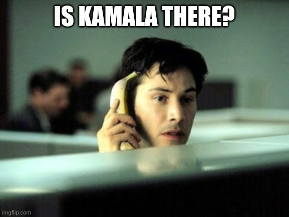 Politics and stuff | IS KAMALA THERE? | image tagged in banana phone | made w/ Imgflip meme maker