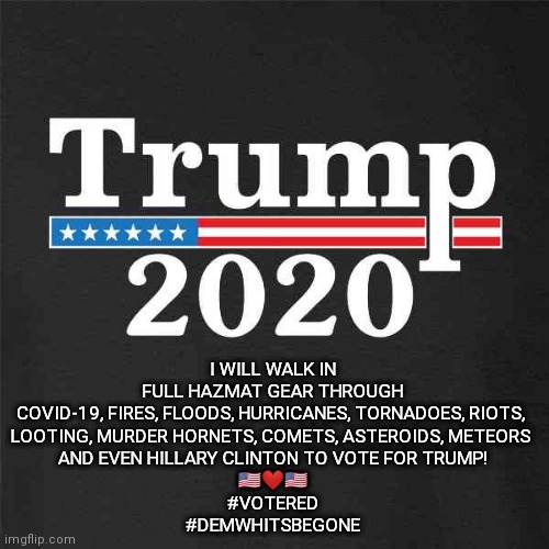 Trump2020_DeterminedVoter | I WILL WALK IN FULL HAZMAT GEAR THROUGH COVID-19, FIRES, FLOODS, HURRICANES, TORNADOES, RIOTS, 
LOOTING, MURDER HORNETS, COMETS, ASTEROIDS, METEORS 
AND EVEN HILLARY CLINTON TO VOTE FOR TRUMP!

🇺🇸❤️🇺🇸
#VOTERED
#DEMWHITSBEGONE | image tagged in trump 2020 | made w/ Imgflip meme maker