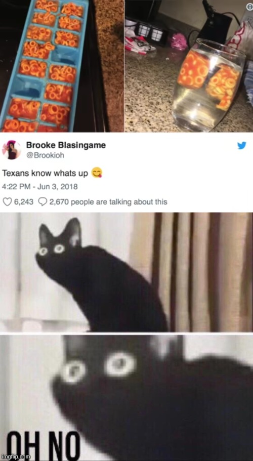 I'm scared for my life- | image tagged in oh no cat | made w/ Imgflip meme maker