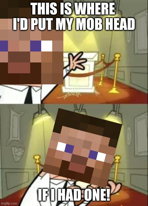 This Is Where I'd Put My Trophy If I Had One | THIS IS WHERE  I'D PUT MY MOB HEAD; IF I HAD ONE! | image tagged in memes,this is where i'd put my trophy if i had one,minecraft | made w/ Imgflip meme maker