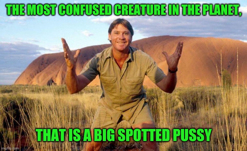 Steve Irwin Crocodile Hunter  | THE MOST CONFUSED CREATURE IN THE PLANET, THAT IS A BIG SPOTTED PUSSY | image tagged in steve irwin crocodile hunter | made w/ Imgflip meme maker