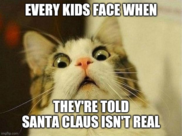 Scared Cat Meme | EVERY KIDS FACE WHEN; THEY'RE TOLD SANTA CLAUS ISN'T REAL | image tagged in memes,scared cat | made w/ Imgflip meme maker