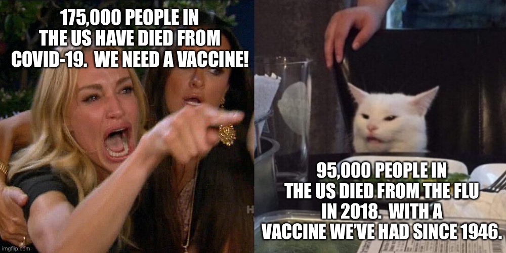 What’s the end game again? | 175,000 PEOPLE IN THE US HAVE DIED FROM COVID-19.  WE NEED A VACCINE! 95,000 PEOPLE IN THE US DIED FROM THE FLU IN 2018.  WITH A VACCINE WE’VE HAD SINCE 1946. | image tagged in woman yelling at cat,covid-19,covid,flu,vaccine,memes | made w/ Imgflip meme maker