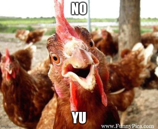 Chicken | NO YU | image tagged in chicken | made w/ Imgflip meme maker