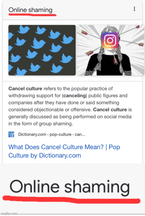 What is “cancel culture”? | image tagged in cancel culture,shame,cancelled,conservative hypocrisy,conservative logic,conservatives | made w/ Imgflip meme maker