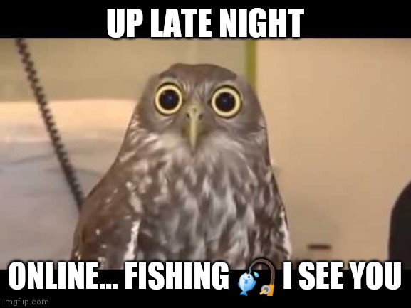Late night at work | UP LATE NIGHT; ONLINE... FISHING 🎣 I SEE YOU | image tagged in late night at work | made w/ Imgflip meme maker