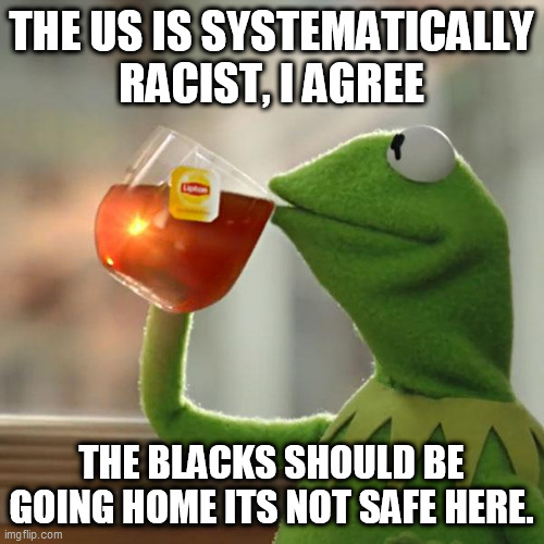 But That's None Of My Business Meme | THE US IS SYSTEMATICALLY RACIST, I AGREE; THE BLACKS SHOULD BE GOING HOME ITS NOT SAFE HERE. | image tagged in memes,but that's none of my business,kermit the frog | made w/ Imgflip meme maker