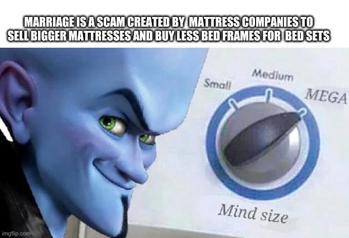 if I don't post after this for a year they took me | MARRIAGE IS A SCAM CREATED BY  MATTRESS COMPANIES TO SELL BIGGER MATTRESSES AND BUY LESS BED FRAMES FOR  BED SETS | image tagged in mega mind size | made w/ Imgflip meme maker