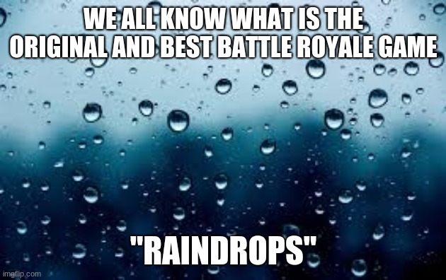 raindrops | WE ALL KNOW WHAT IS THE ORIGINAL AND BEST BATTLE ROYALE GAME "RAINDROPS" | image tagged in raindrops | made w/ Imgflip meme maker