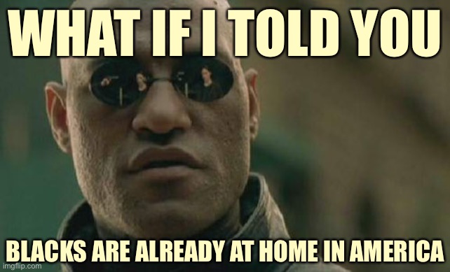 Yeah: black Americans are at home right here in America, sooooo your back-to-Africa, ethnic cleansing shit is invalid | WHAT IF I TOLD YOU; BLACKS ARE ALREADY AT HOME IN AMERICA | image tagged in memes,matrix morpheus,america,black,conservative logic,racism | made w/ Imgflip meme maker