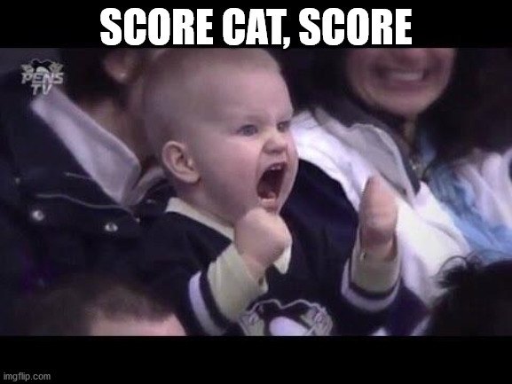 Hockey baby | SCORE CAT, SCORE | image tagged in hockey baby | made w/ Imgflip meme maker