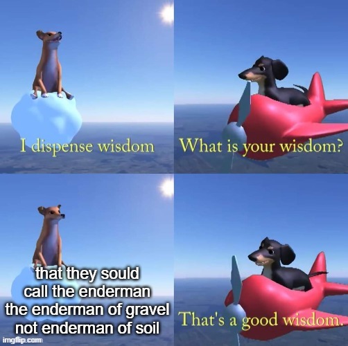 Wisdom dog | that they sould call the enderman the enderman of gravel not enderman of soil | image tagged in wisdom dog | made w/ Imgflip meme maker
