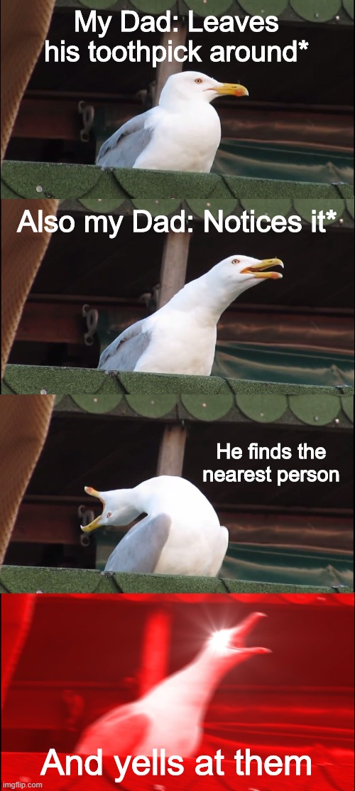 A habit of my Dad | My Dad: Leaves his toothpick around*; Also my Dad: Notices it*; He finds the nearest person; And yells at them | image tagged in memes,inhaling seagull | made w/ Imgflip meme maker