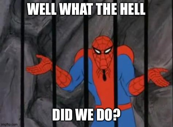 spiderman jail | WELL WHAT THE HELL DID WE DO? | image tagged in spiderman jail | made w/ Imgflip meme maker