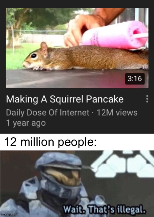 This squirrel pancake is 100% illegal | 12 million people: | image tagged in wait that s illegal,memes,funny,illegal,squirrel,stop reading the tags | made w/ Imgflip meme maker