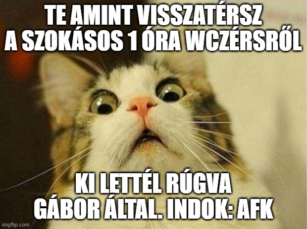 4cevlw.jpg