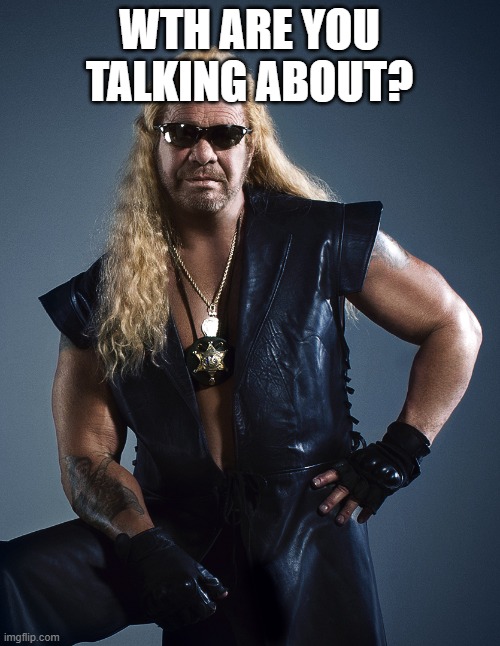Dog the Bounty Hunter | WTH ARE YOU TALKING ABOUT? | image tagged in dog the bounty hunter | made w/ Imgflip meme maker