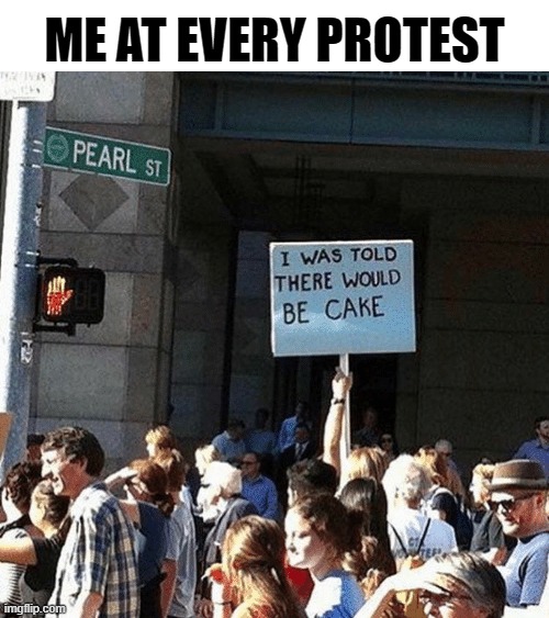 I Thought There Would Be Cake |  ME AT EVERY PROTEST | image tagged in protest,protesters,signs | made w/ Imgflip meme maker