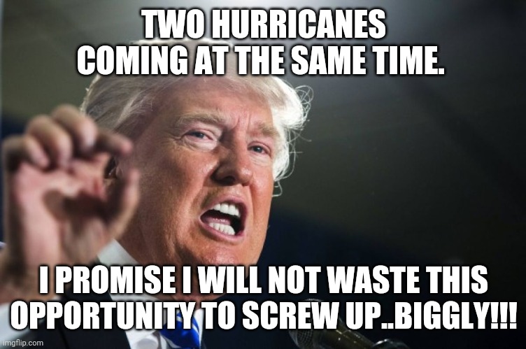 Trump's gaffes | TWO HURRICANES COMING AT THE SAME TIME. I PROMISE I WILL NOT WASTE THIS OPPORTUNITY TO SCREW UP..BIGGLY!!! | image tagged in donald trump,covid19,hurricane,trump supporters,conservative | made w/ Imgflip meme maker