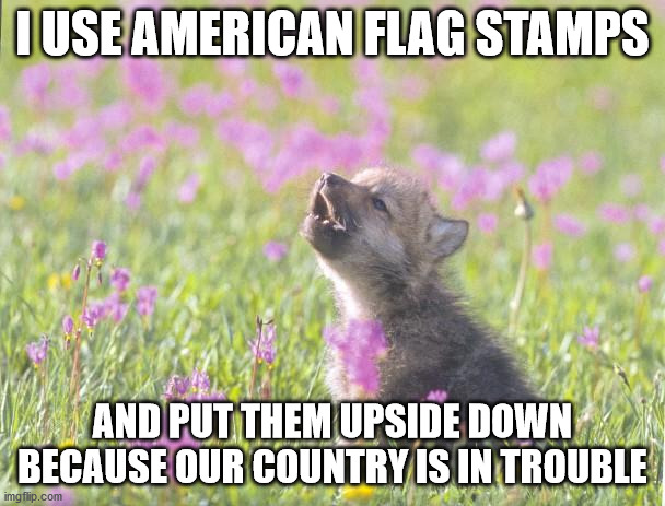 Baby Insanity Wolf Meme | I USE AMERICAN FLAG STAMPS; AND PUT THEM UPSIDE DOWN BECAUSE OUR COUNTRY IS IN TROUBLE | image tagged in memes,baby insanity wolf | made w/ Imgflip meme maker