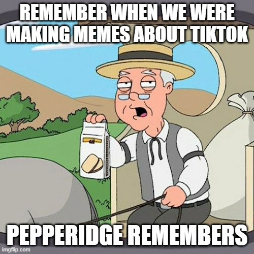 Pepperidge Farm Remembers | REMEMBER WHEN WE WERE MAKING MEMES ABOUT TIKTOK; PEPPERIDGE REMEMBERS | image tagged in memes,pepperidge farm remembers | made w/ Imgflip meme maker