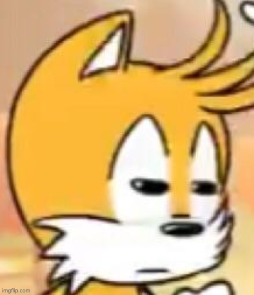 Tails what | image tagged in tails what | made w/ Imgflip meme maker