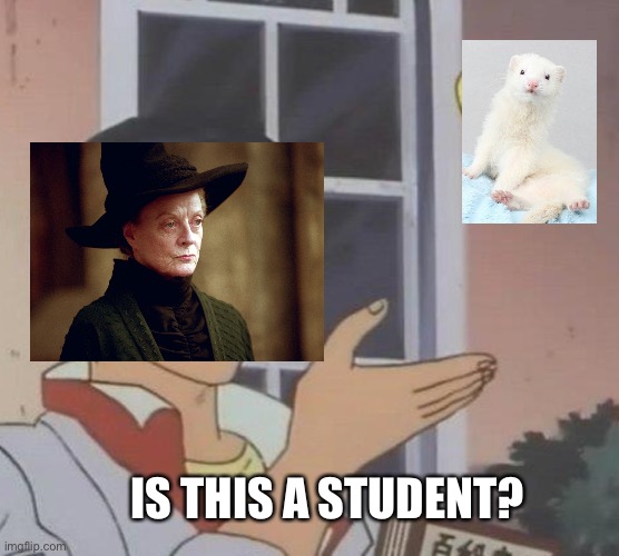 Is this a student? | IS THIS A STUDENT? | image tagged in memes,is this a pigeon | made w/ Imgflip meme maker