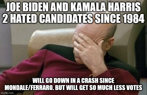 Piccard on 2020 election for President | JOE BIDEN AND KAMALA HARRIS 2 HATED CANDIDATES SINCE 1984; WILL GO DOWN IN A CRASH SINCE MONDALE/FERRARO. BUT WILL GET SO MUCH LESS VOTES | image tagged in captain picard facepalm,joe biden,joe exotic,1984,2020 elections | made w/ Imgflip meme maker