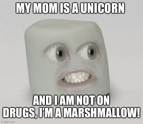 MY MOM IS A UNICORN AND I AM NOT ON DRUGS, I’M A MARSHMALLOW! | made w/ Imgflip meme maker