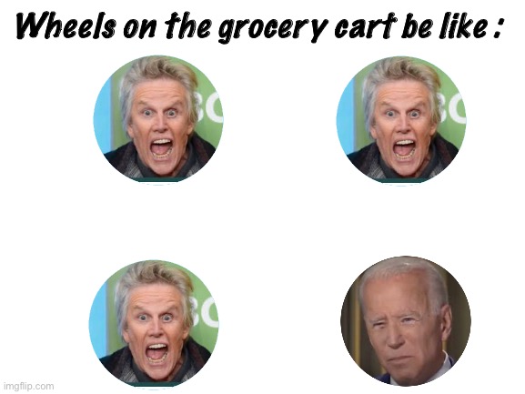 Gary is better than Joe | Wheels on the grocery cart be like : | image tagged in politics | made w/ Imgflip meme maker