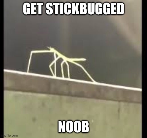 Stickbug | GET STICKBUGGED NOOB | image tagged in stickbug | made w/ Imgflip meme maker