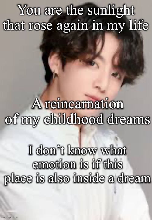 Euphoria by JungKook of BTS (English translated lyrics please! UwU) | You are the sunlight that rose again in my life; A reincarnation of my childhood dreams; I don’t know what emotion is if this place is also inside a dream | made w/ Imgflip meme maker