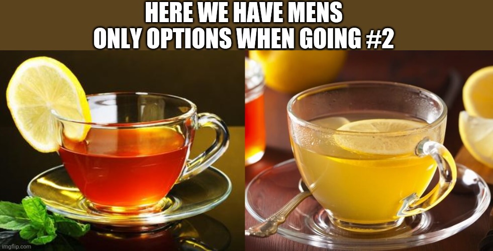  HERE WE HAVE MENS ONLY OPTIONS WHEN GOING #2 | image tagged in funny memes | made w/ Imgflip meme maker