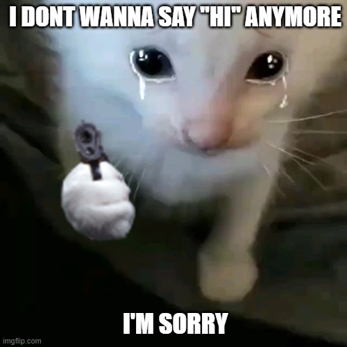 hi herbert | I DONT WANNA SAY "HI" ANYMORE; I'M SORRY | image tagged in herbert with a gun | made w/ Imgflip meme maker