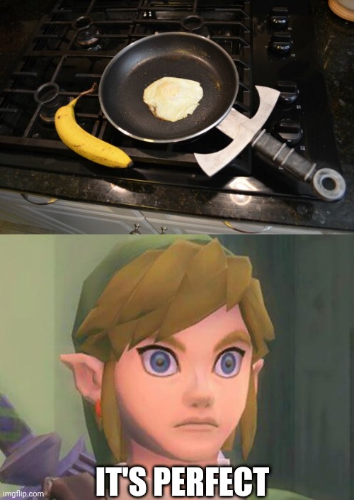 LINK NEEDS THAT ON HIS QUESTS | IT'S PERFECT | image tagged in zelda,the legend of zelda breath of the wild,cooking,link | made w/ Imgflip meme maker