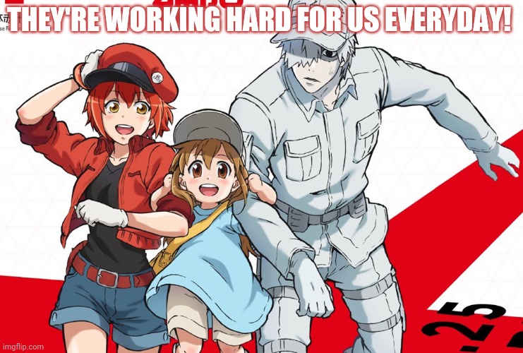 Cells at work! | THEY'RE WORKING HARD FOR US EVERYDAY! | image tagged in cells at work,watch it,anime,cell | made w/ Imgflip meme maker