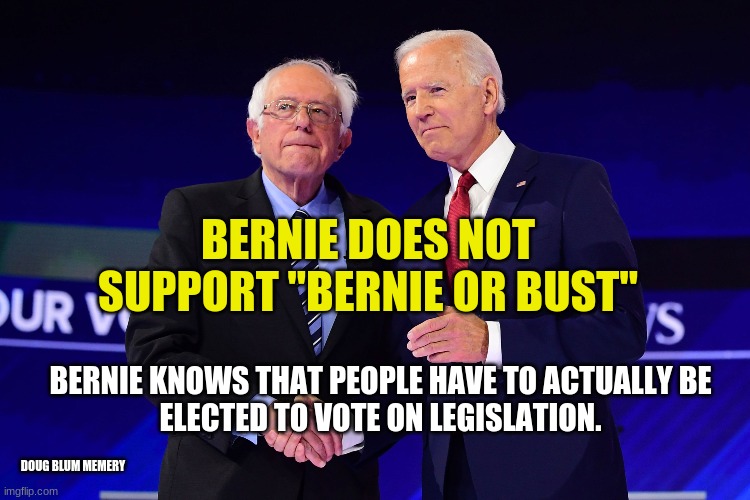 bernie or bust | BERNIE DOES NOT SUPPORT "BERNIE OR BUST"; BERNIE KNOWS THAT PEOPLE HAVE TO ACTUALLY BE ELECTED TO VOTE ON LEGISLATION. DOUG BLUM MEMERY | image tagged in bernie sanders,biden | made w/ Imgflip meme maker