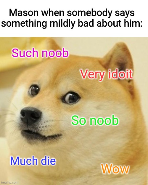 Noob | Mason when somebody says something mildly bad about him:; Such noob; Very idoit; So noob; Much die; Wow | image tagged in memes,doge,mason | made w/ Imgflip meme maker
