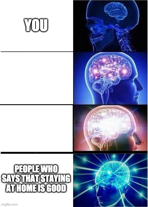 Expanding Brain Meme | YOU PEOPLE WHO SAYS THAT STAYING AT HOME IS GOOD | image tagged in memes,expanding brain | made w/ Imgflip meme maker