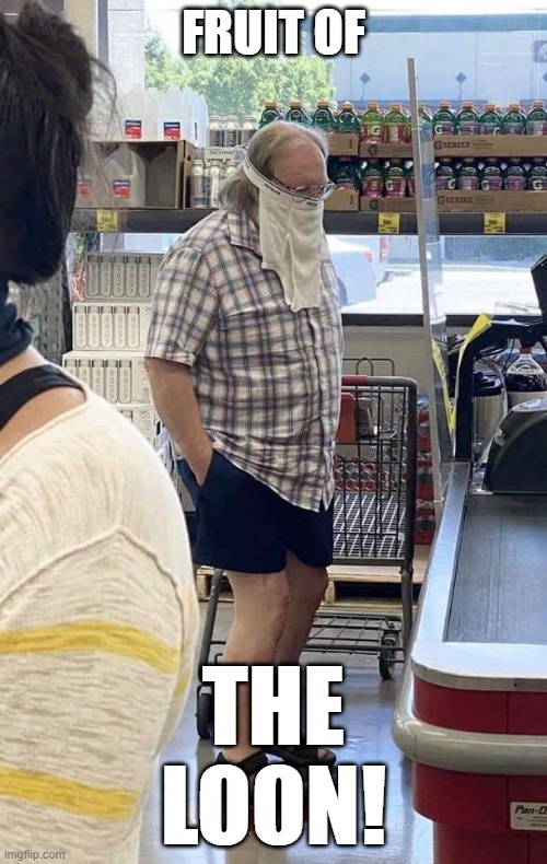 Idiot | FRUIT OF; THE LOON! | image tagged in coronavirus,face mask | made w/ Imgflip meme maker
